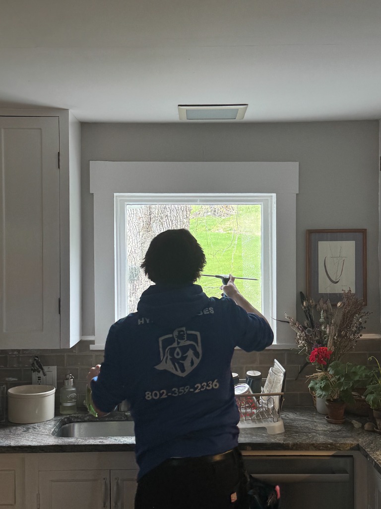 Window cleaning professional
